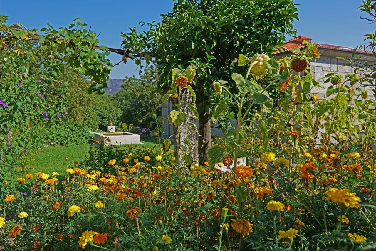 Pensjonat Casa Do Vale Fafe Zewnętrze zdjęcie