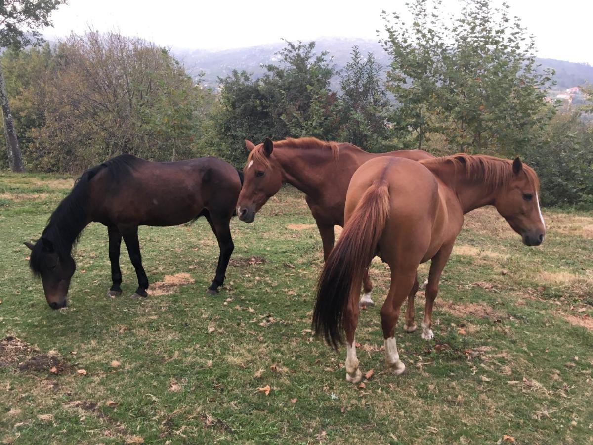 Pensjonat Casa Do Vale Fafe Zewnętrze zdjęcie